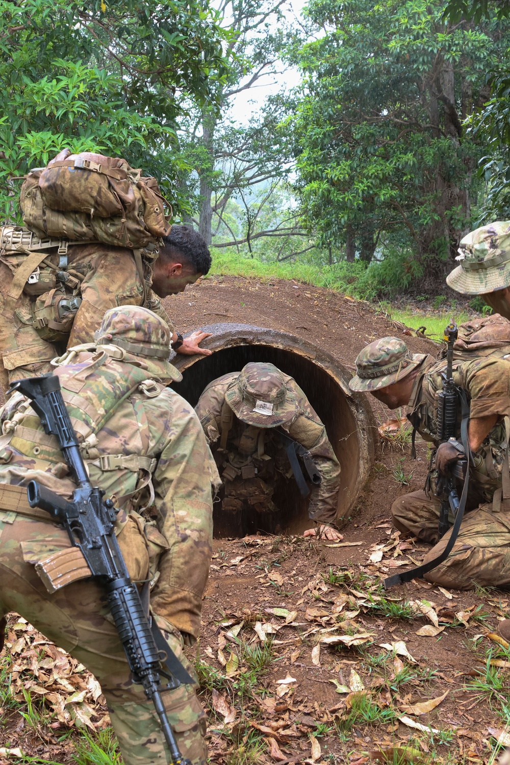 Jungle Operations Training Course