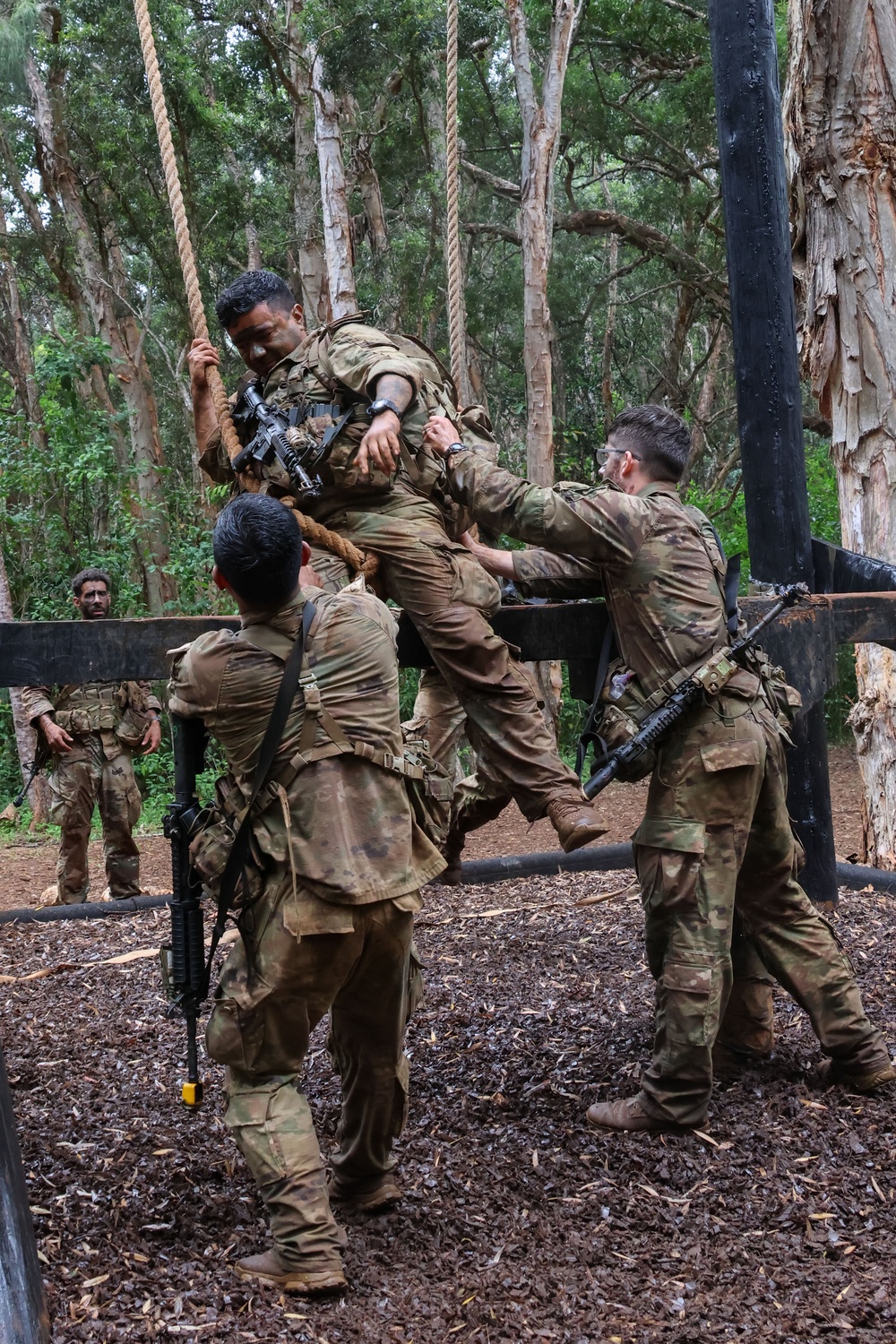 Jungle Operations Training Course