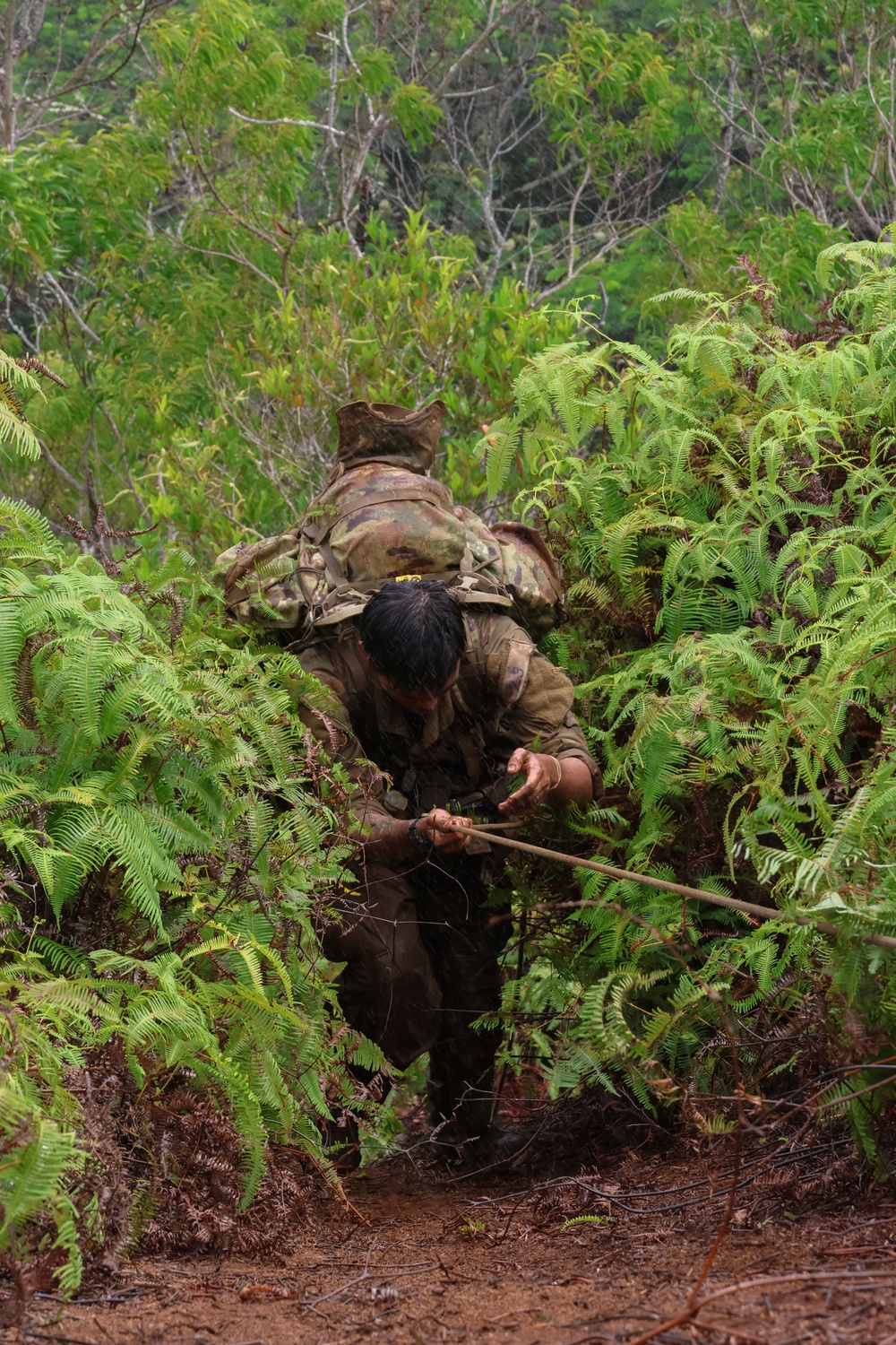 Jungle Operations Training Course