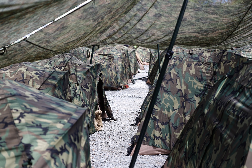 III Marine Expeditionary Force proves readiness in command post field training exercise during Resolute Dragon 25