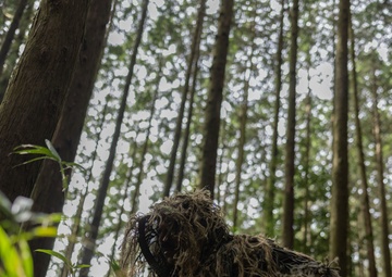 RD25| 12th LCT Increases Lethality During Force on Force