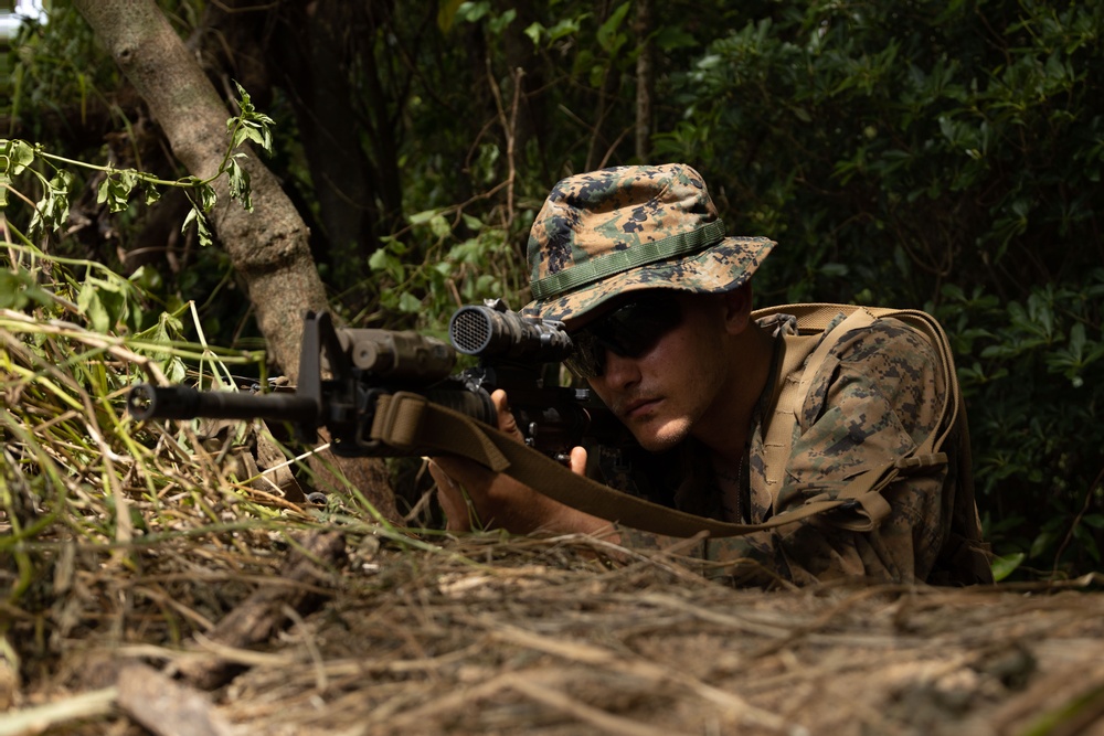 RD25 | U.S. Marines with 12th LAAB Trains at Kin Blue Beach Training Area