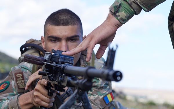 Heracleea 25 Infantry Skills Practical Application