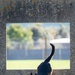 Killer K9s: 100th ARW Military Working Dogs Highlight