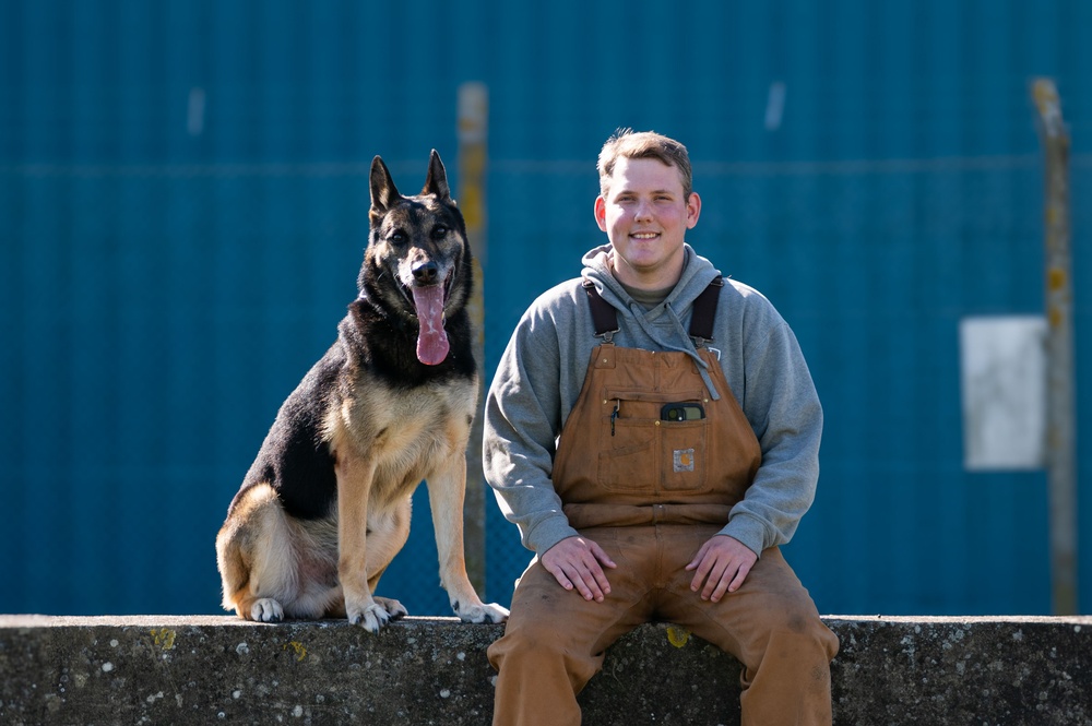 Killer K9s: 100th ARW Military Working Dogs Highlight