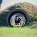 Killer K9s: 100th ARW Military Working Dogs Highlight