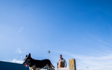 Killer K9s: 100th ARW Military Working Dogs Highlight