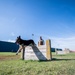 Killer K9s: 100th ARW Military Working Dogs Highlight