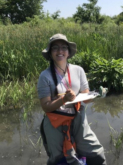 USACE Army Fellow Jane Clark