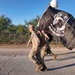 Fire Academy POW/MIA Ruck March