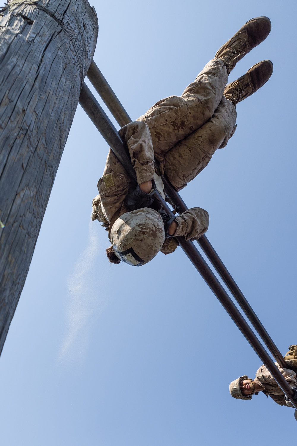 November Company Crucible