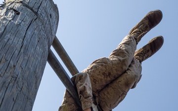 November Company Crucible