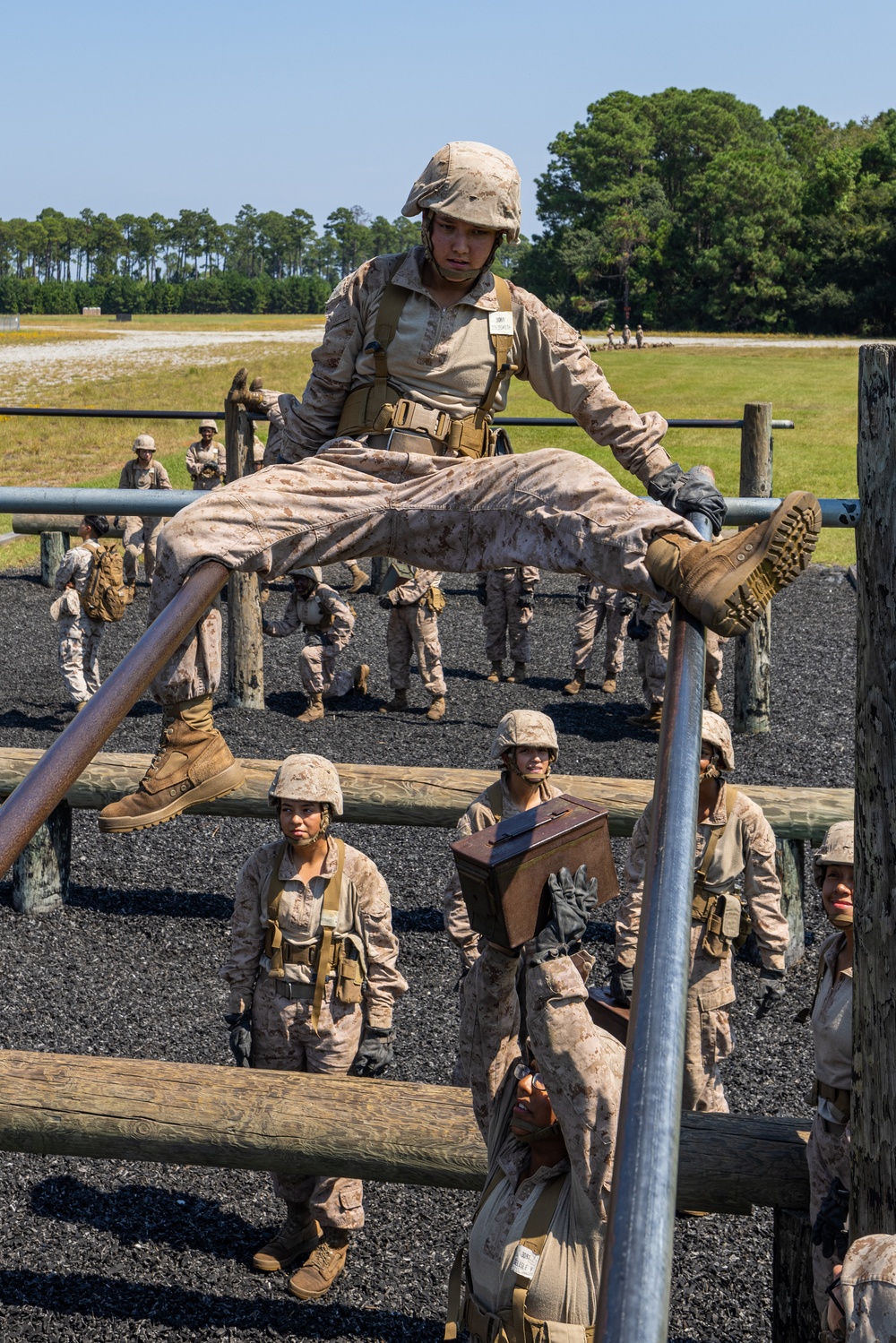 November Company Crucible