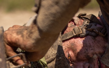 November Company Crucible