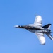2025 NAS Oceana Air Show