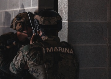 UNITAS 2025: US Marines and multinational forces conduct urban operations training