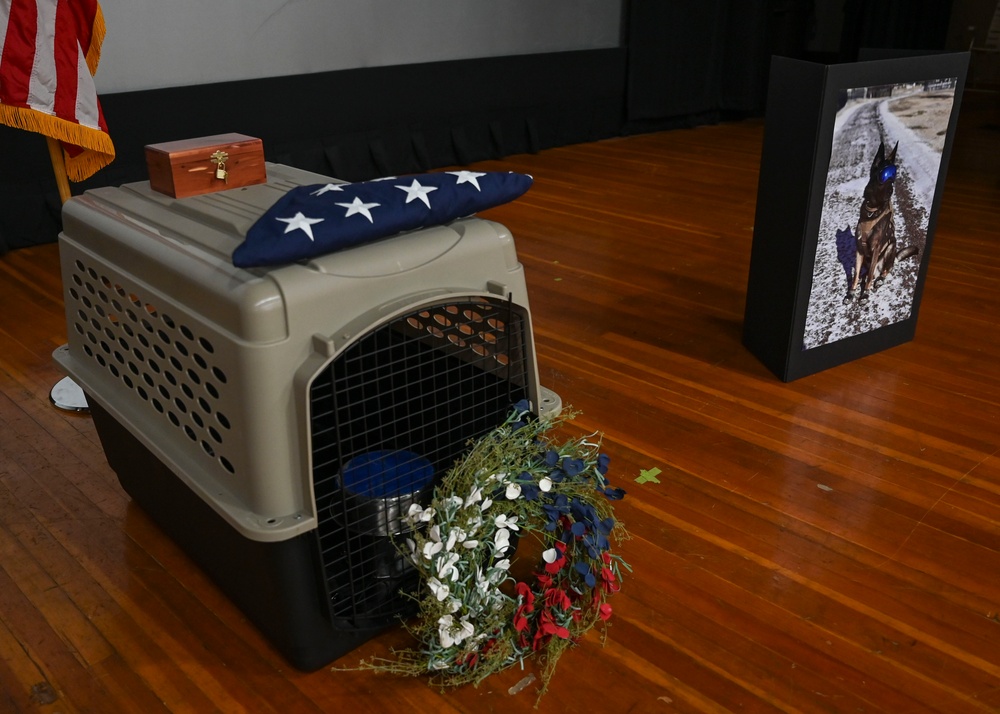 Honoring military working dog Polo
