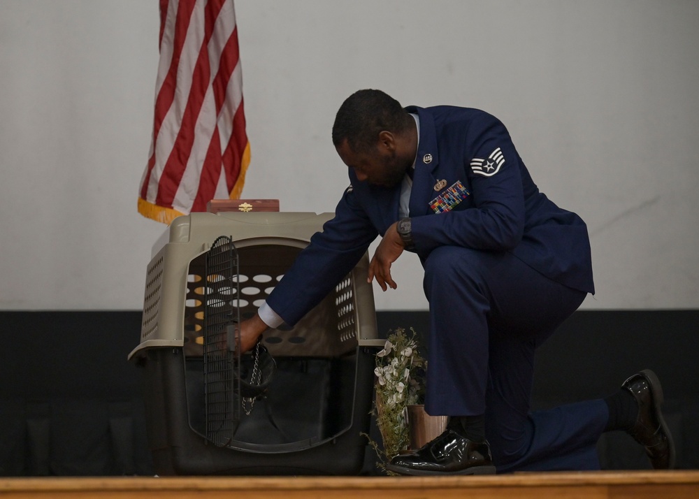 Honoring military working dog Polo