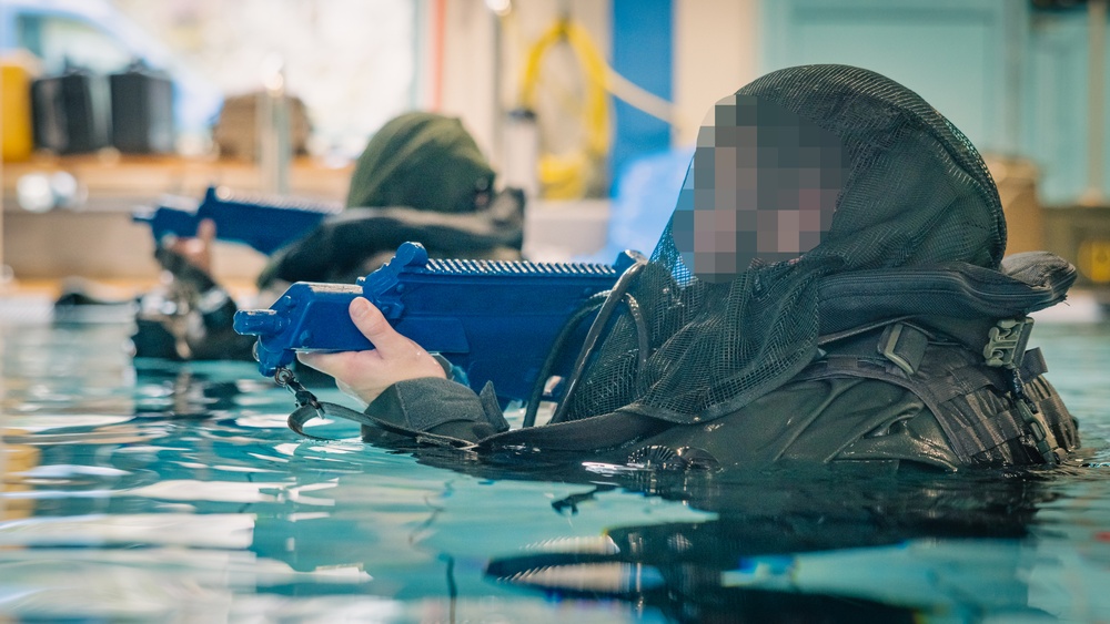 U.S. Marines conduct combatant dive training with Swedish Marines