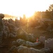 7th Infantry Division Soldiers Participate in Land Navigation during ESB testing