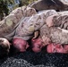 FSB, 11th Marines hold company fire support team competition