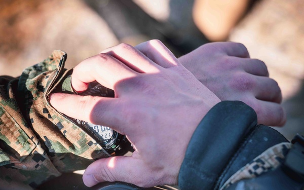 U.S. Marines conduct live fire combatant dive range with Swedish Partners