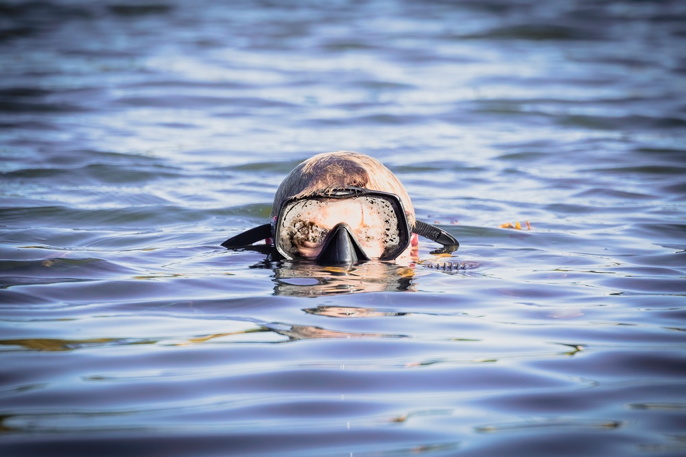 U.S. Marines conduct live fire combatant dive range with Swedish Partners