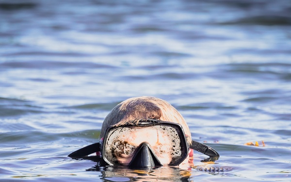 U.S. Marines conduct live fire combatant dive range with Swedish Partners