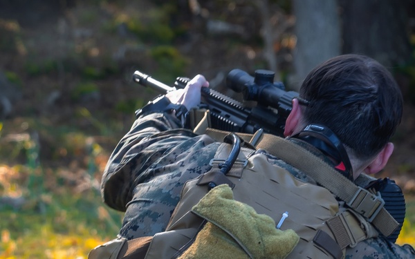 U.S. Marines conduct live fire combatant dive range with Swedish Partners