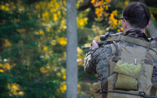 U.S. Marines conduct live fire combatant dive range with Swedish Partners