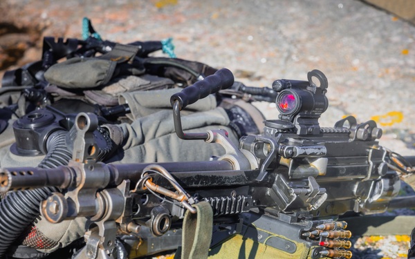 U.S. Marines conduct live fire combatant dive range with Swedish Partners