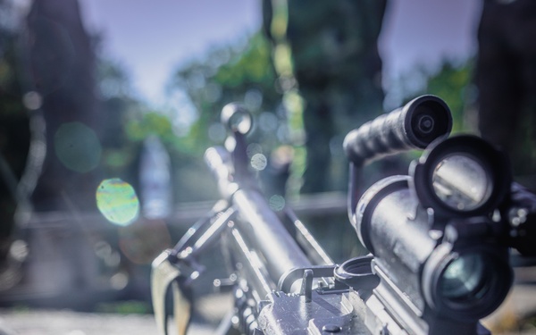 U.S. Marines conduct live fire combatant dive range with Swedish Partners