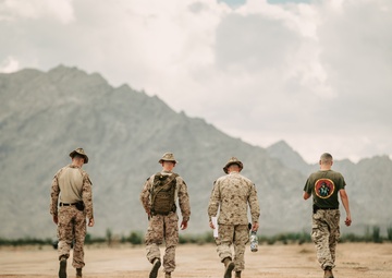 WTI 1-26: Survey and Assessment