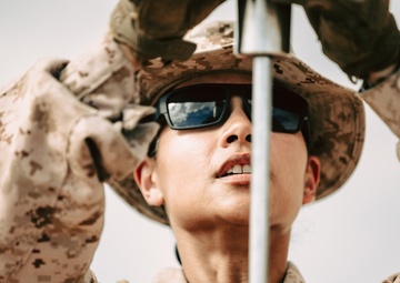 WTI 1-26: Survey and Assessment