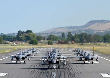 Kingsley Field's Inaugural Elephant Walk