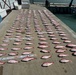 Red Snapper Lined Up That Was Retrieved from a Lancha by the Coast Guard