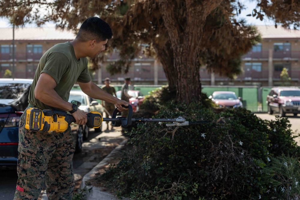 1st DSB supports Operation Clean Sweep III