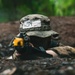 Jungle School Culminating Exercise