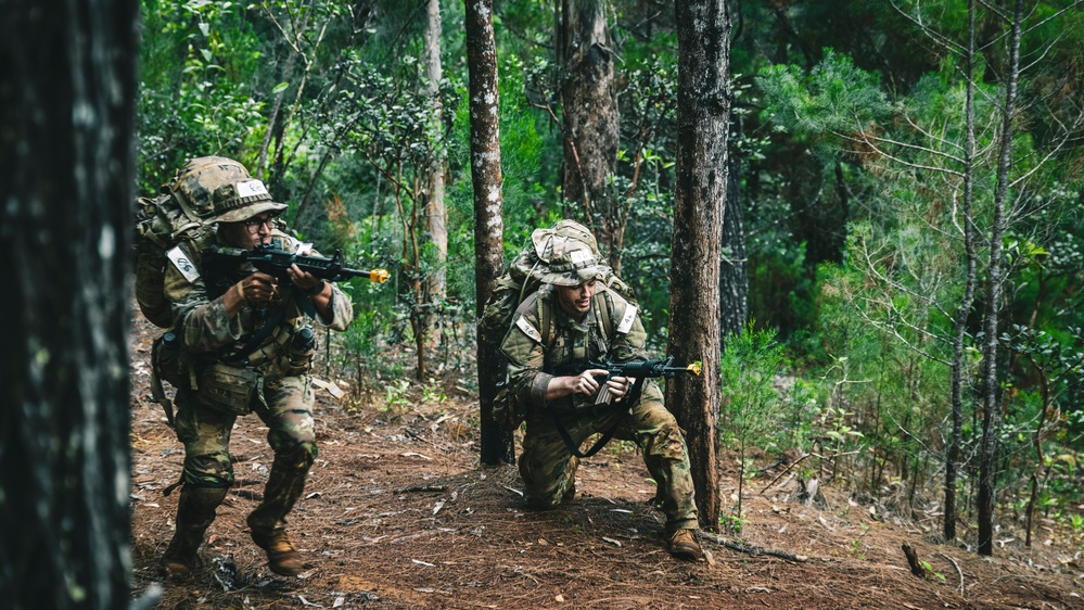 Jungle School Culminating Exercise
