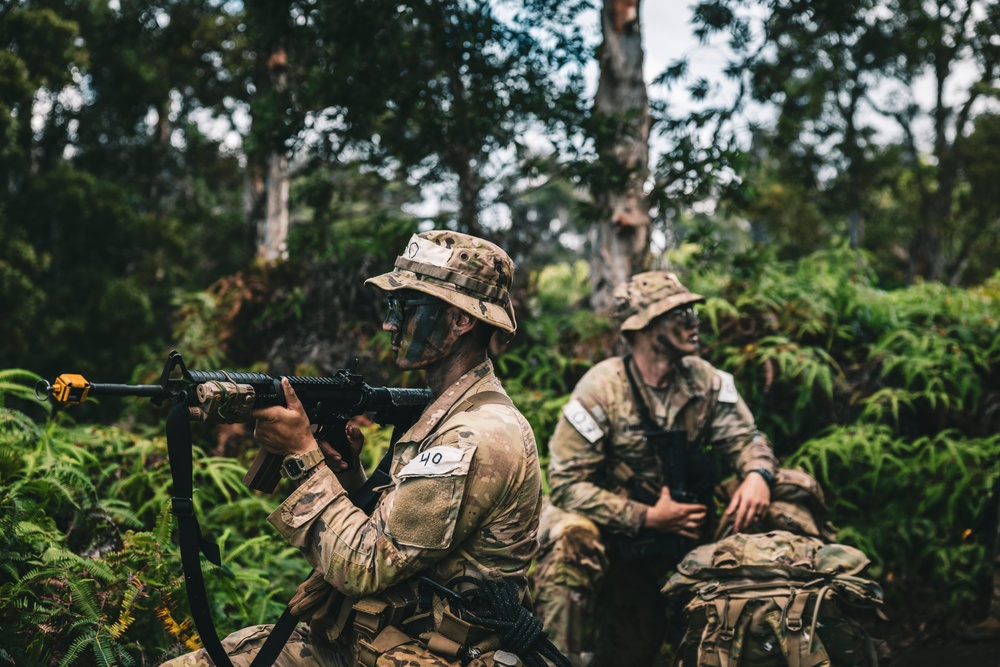 Jungle School Culminating Exercise