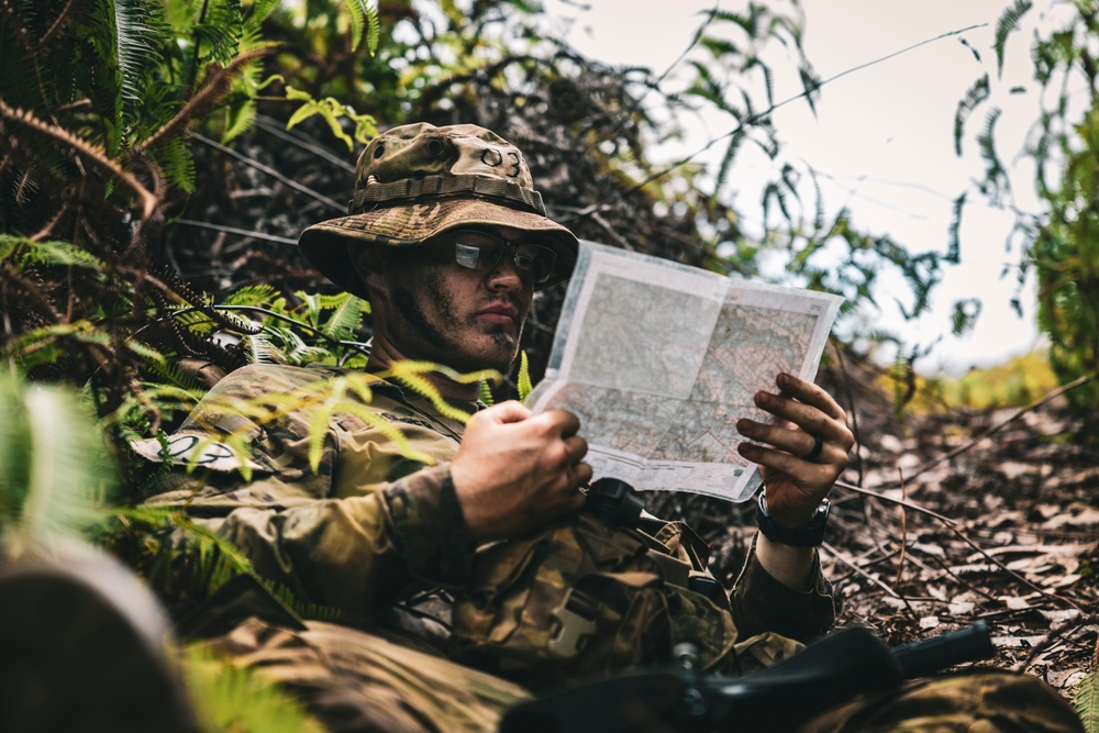 Jungle School Culminating Exercise