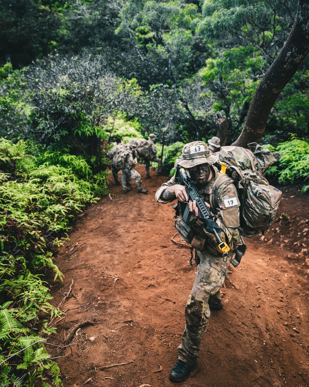 Jungle School Culminating Exercise