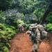 Jungle School Culminating Exercise