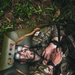 Jungle School Culminating Exercise