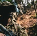 Jungle School Culminating Exercise