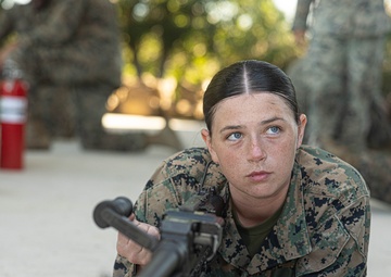U.S. Marines conduct M240B Machine Gun training during Resolute Dragon 25 