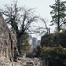 National Recreation Trail - Pinecrest Lake Loop