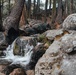 National Recreation Trail - Pinecrest Lake Loop