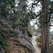 National Recreation Trail - Pinecrest Lake Loop