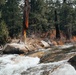 National Recreation Trail - Pinecrest Lake Loop